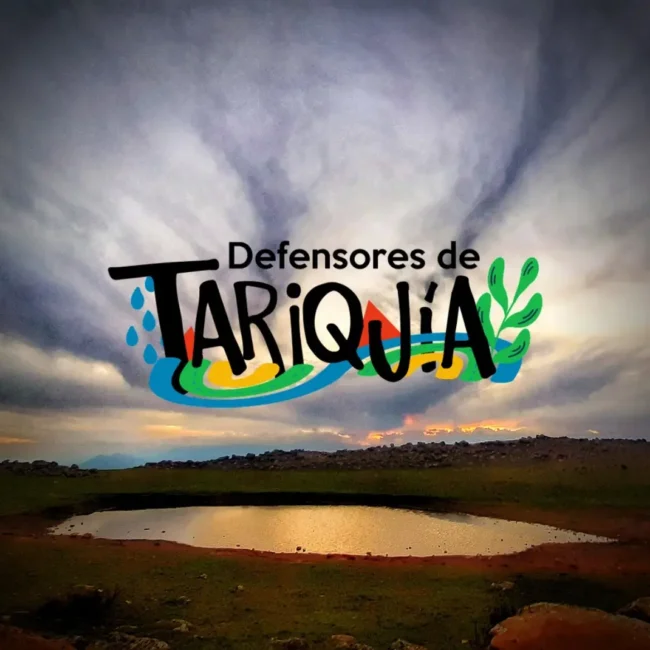 Logo Defensores de Turquia