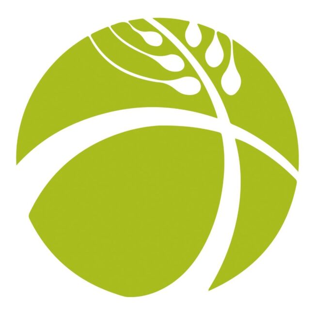 Logo FH Bolivia