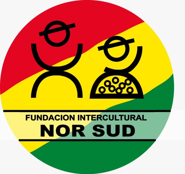 Logo FINS