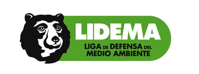 Logo LIDEMA