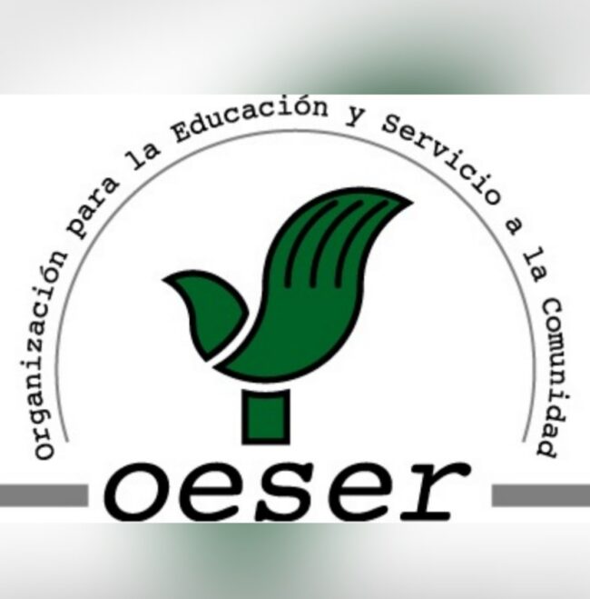 Logo OESER