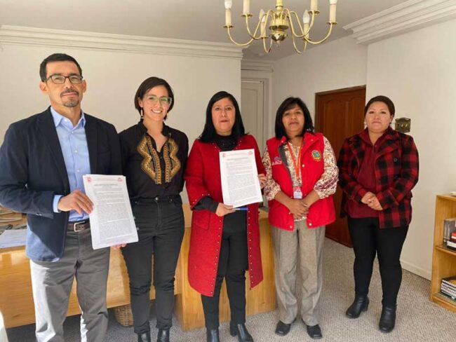 El Alto con pasos firmes